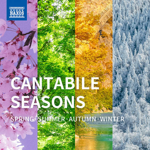 大学篮球体育撸鸡把chinese
